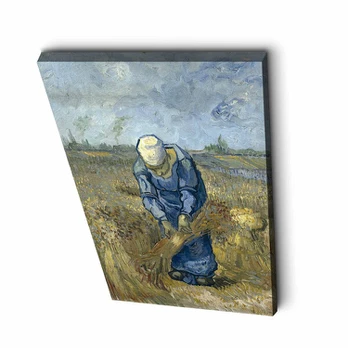 Reprodukcija Moteris
