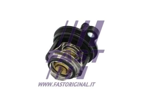 Termostatas, aušinimo skystis FAST FT58030