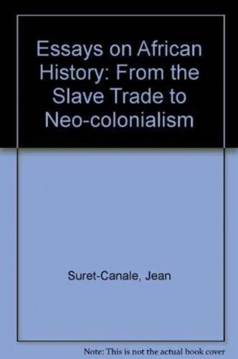 Essays on African History
