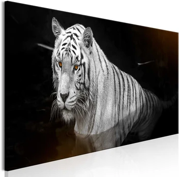 Artgeist Paveikslas - Shining Tiger (1 Part) Oranžinis Narrow