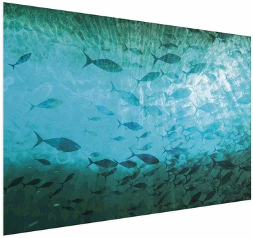 Artgeist Plakatas - Group of Dark Fish