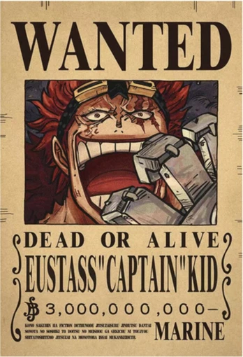 Plakatas One Piece