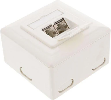 InLine Lizdas Cat.6 ścienne, 2x RJ45, balta (75602K)