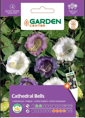 Sėklos Garden Center kobėja, 8 vnt.