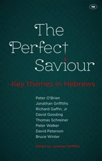 Perfect Saviour