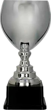 Detal Sidabrinis metalinis puodelis