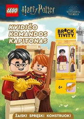 LEGO® Harry Potter™ Kvidičo komandos kapitonas kaina