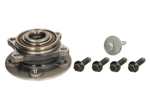 FAG 713 6605 10 Wheel bearing  kit