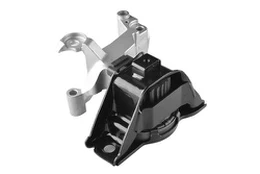 Variklio montavimas TEDGUM TED49619