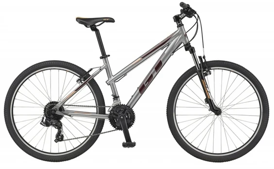 Dviratis 26' GT Laguna sidabrinis G28151F10