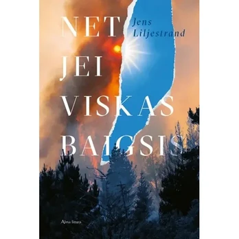 Knyga NET JEI VISKAS BAIGSIS