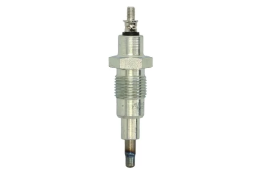 Kaitinimo žvakė BorgWarner (BERU) GV170