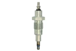 Kaitinimo žvakė BorgWarner (BERU) GV170 kaina