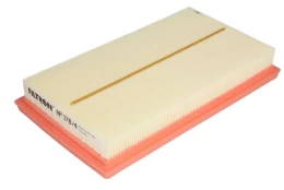 Oro filtras FILTRON AP178/4 kaina
