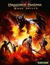 Dragon's Dogma: Dark Arisen PC kaina
