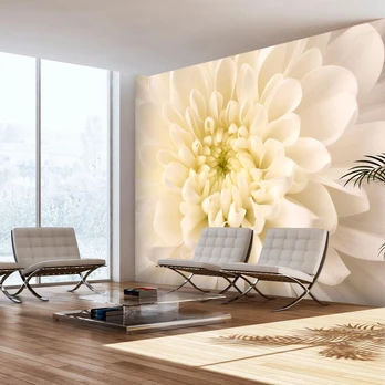 Artgeist Fototapetas - Baltas dahlia 350x270