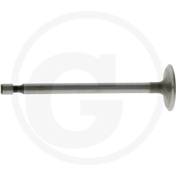 Įsiurbimo vožtuvas Briggs & Stratton 690429