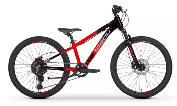 Dviratis Tabou Badboy 24 2.0 red-juodas