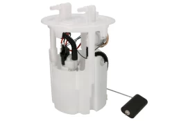 DELPHI FG2461-12B1 Electric fuel pump kaina