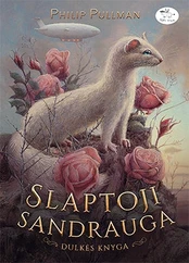 Slaptoji sandrauga. Dulkės knyga (2)