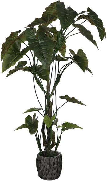 Dirbtinis augalas Kolokazija, 220 cm