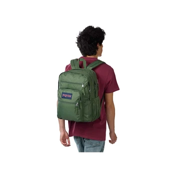 JANSPORT KUPRINĖ BIG STUDENT cargo green