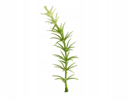 Asparagus mini dirbtinė gėlė augalas terariumui, įranga, dekoracija