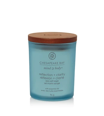 Chesapeake Bay Reflection + Clarity 96g