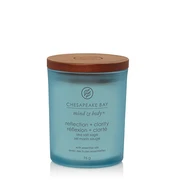 Chesapeake Bay Reflection + Clarity 96g kaina