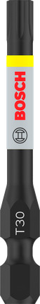 Bosch PRO Torx Impact antgalis T30, 55 mm, 2 vnt.