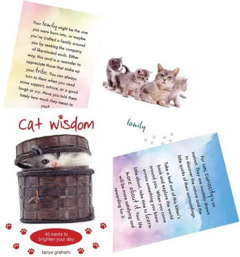 Cat Wisdom kortos