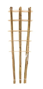 Bambuko Kopetėlės 120cm/3