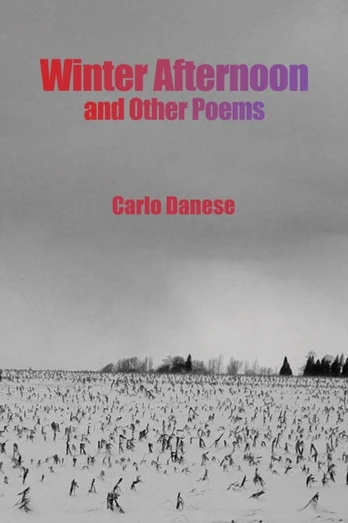 Winter Afternoon and Other Poems