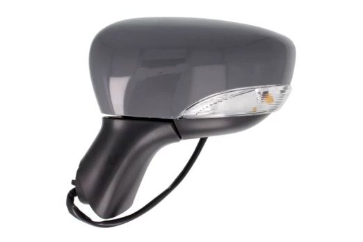 BLIC 5402-09-2002105P Wing mirror