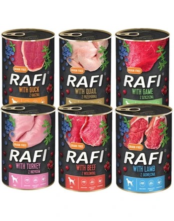 DOLINA NOTECI Rafi Premium Skonių mišinys 48x400g