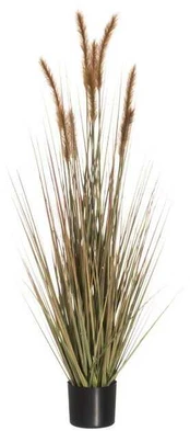 4Living Hay in pot 122 cm