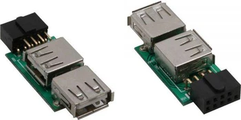 InLine USB A - 9 pin Juodas (33440I)