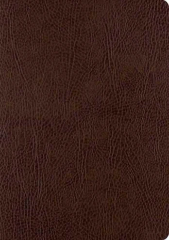 ESV Single Column Journaling Bible, Large Print
