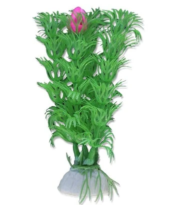 Augalų lizdinė plokštelė 10cm 1b06 Happet