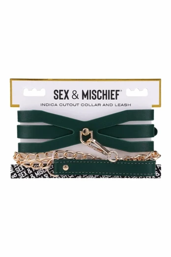 Iškirptas Collar ir pavadėlis