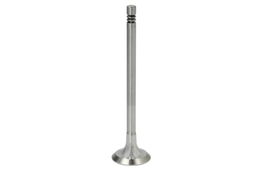 AE V95002 Exhaust valve