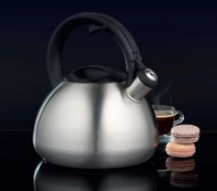 Dajar Virdulys su gwizdkiem Acero 2,6 l AMBITION kaina