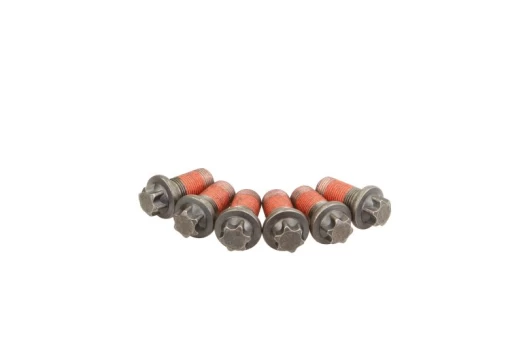 LUK 411 0168 10 Flywheel bolt set