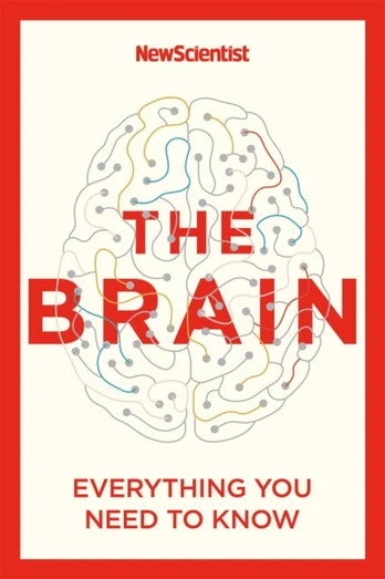 Brain