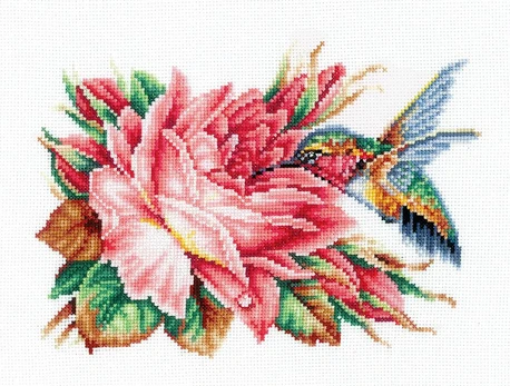 Beldizart Kolibris ir rožė SANK-43