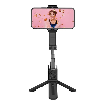 Gimbal Hohem unit description in lists
