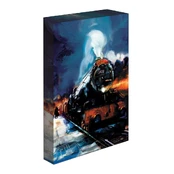 Light Up Canvas Harry Potter (Hogwarts Express) 30x40 kaina
