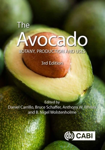 Avocado
