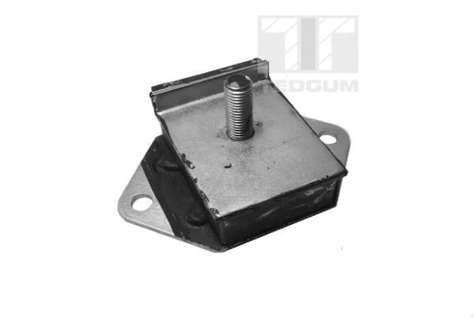 Variklio montavimas TEDGUM 00241385