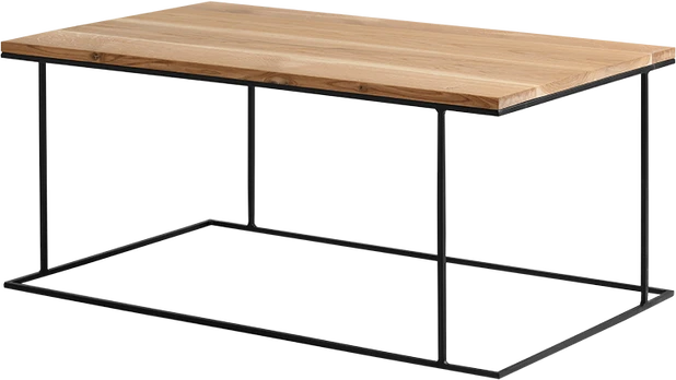 CUSTOMFORM Konsolė, WALT METAL 100, 0.3x1x0.75 m, Juoda